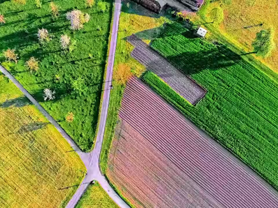 Aerial view of a road passing through a farm
